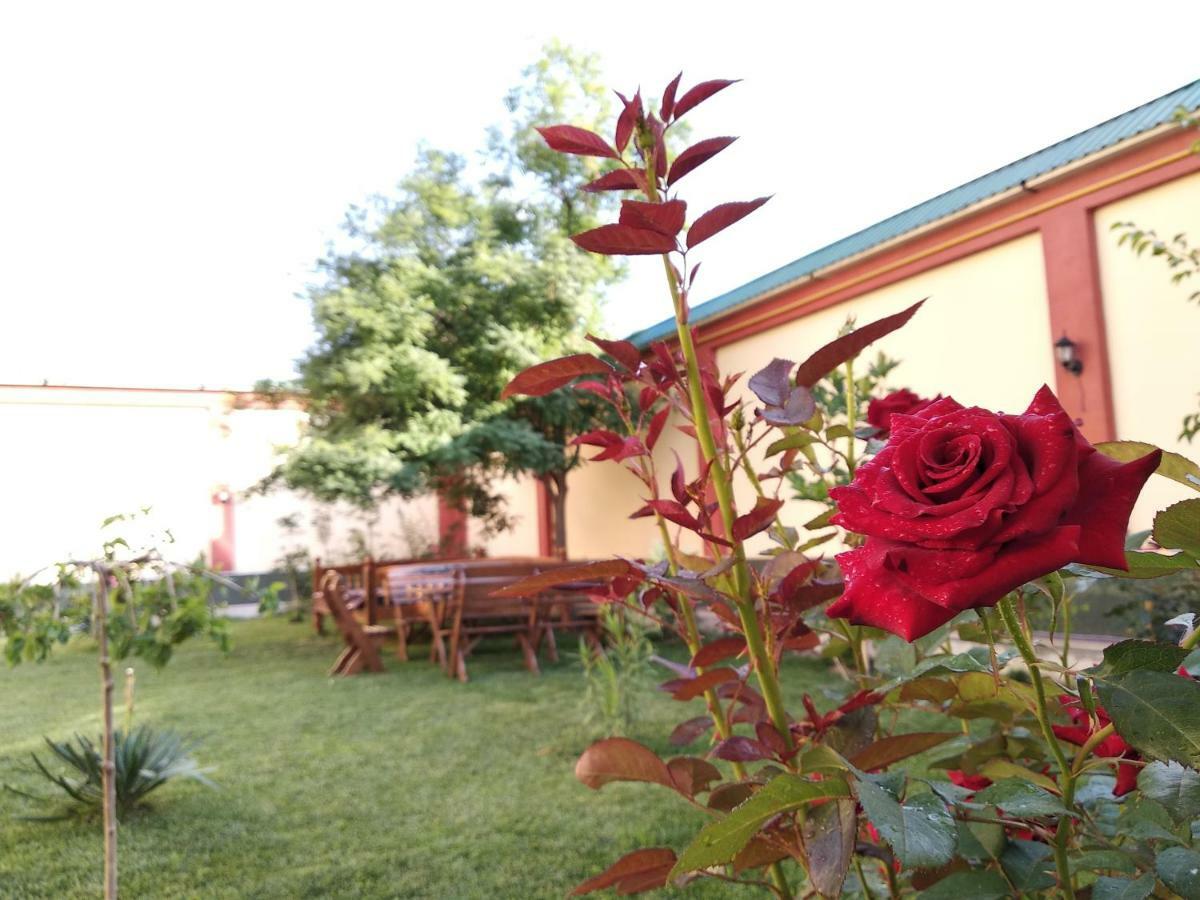 Chinor Garden Hotel - Free Airport Pick-Up And Drop-Off Tașkent Exterior foto